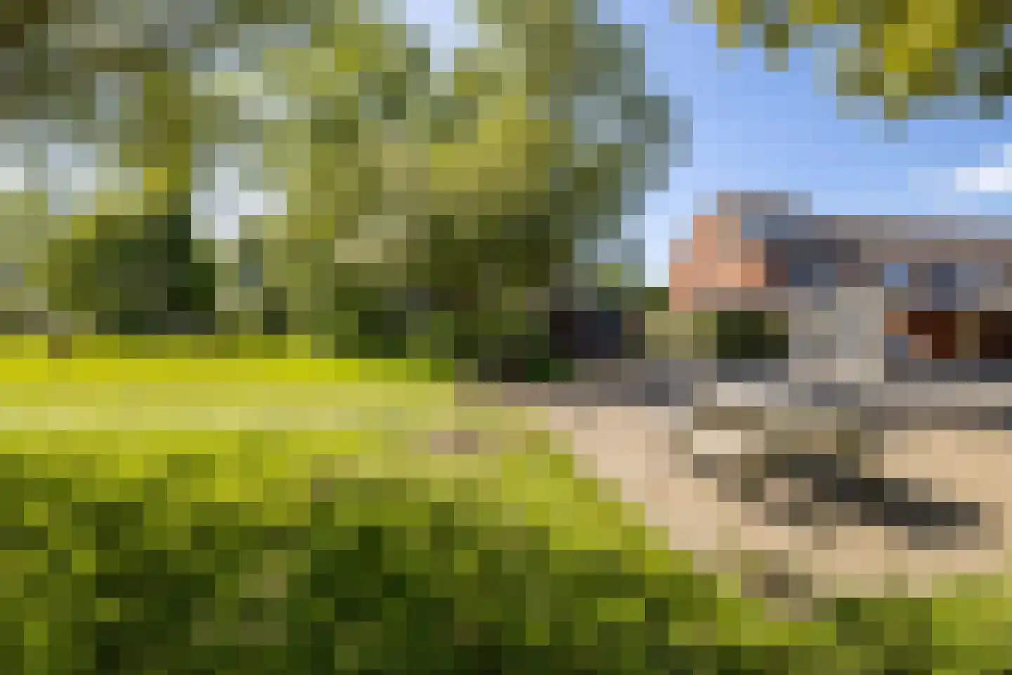 Klaverweide 35 Delfzijl thumbnail 8