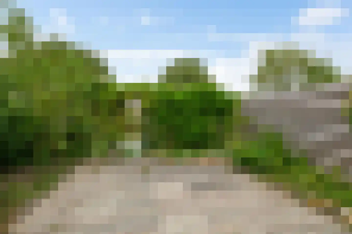 Klaverweide 36 Delfzijl thumbnail 38