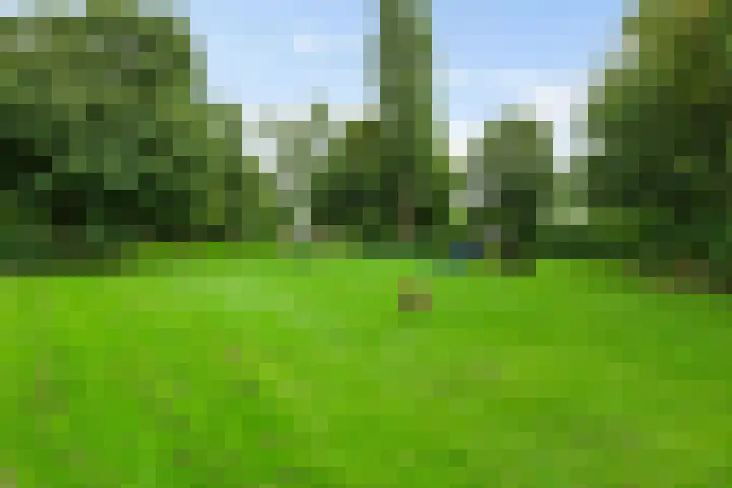 Klaverweide 36 Delfzijl thumbnail 47