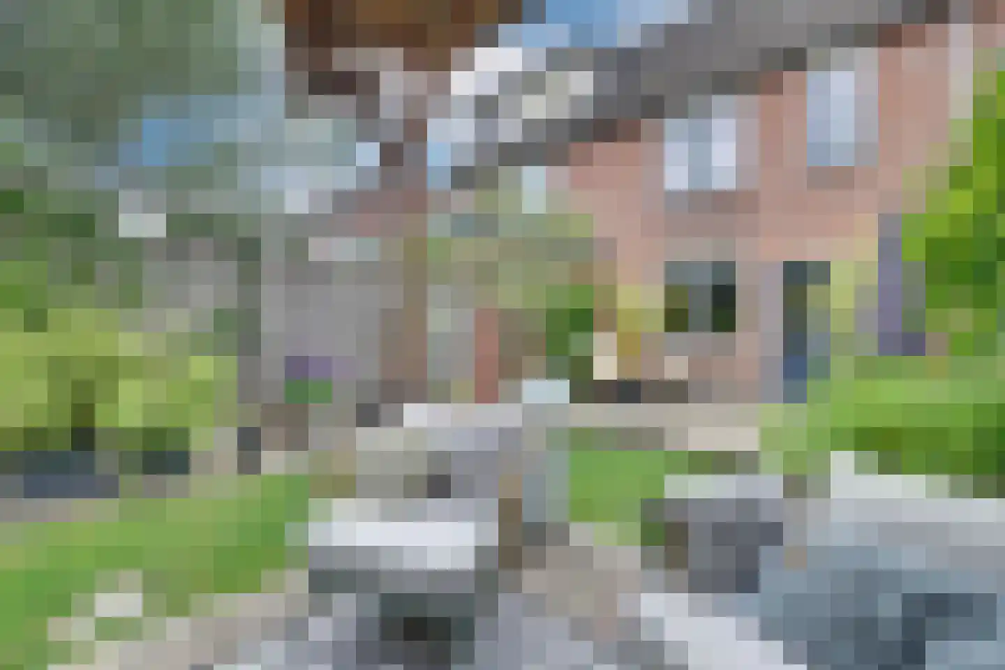 Klaverweide 38 Giesbeek thumbnail 19