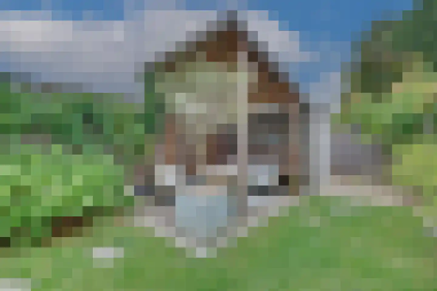 Klaverweide 38 Giesbeek thumbnail 21