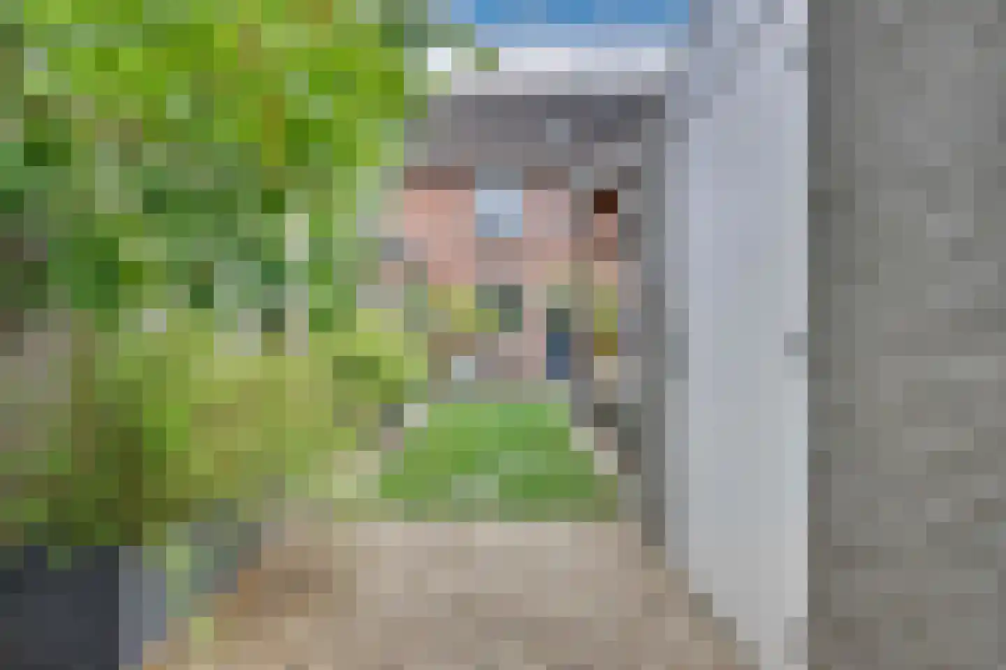 Klaverweide 38 Giesbeek thumbnail 24