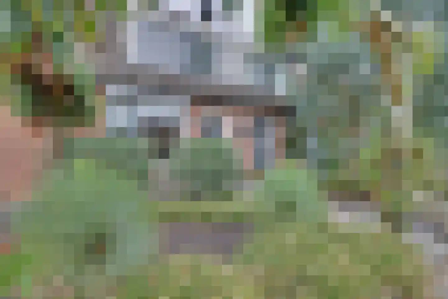 Klaverweide 38 Giesbeek thumbnail 8