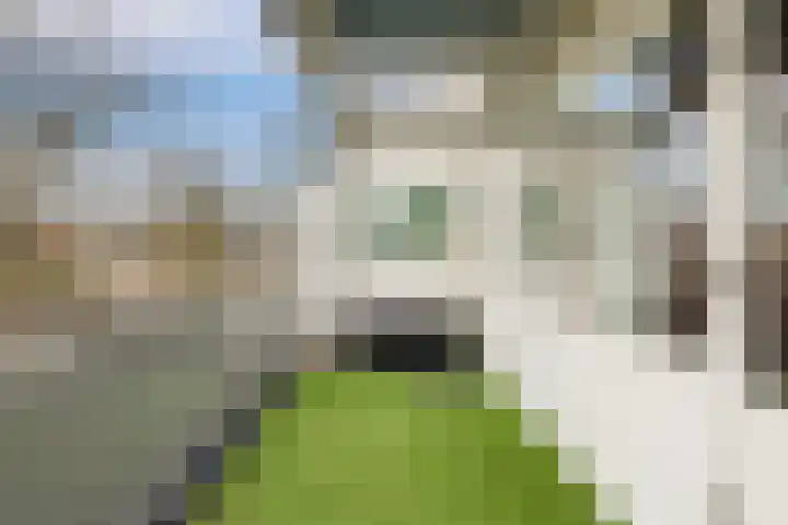 Klaverweide 42 Oostzaan thumbnail 29