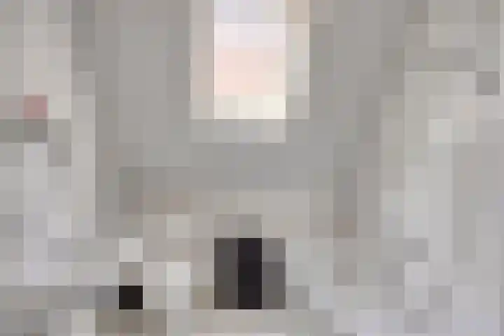 Klaverweide 5 Oss thumbnail 13