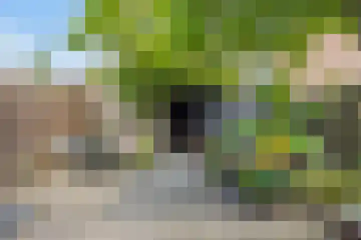 Klaverweide 5 Oss thumbnail 14