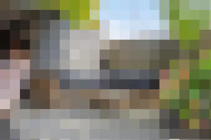 Klaverweide 5 Oss thumbnail 15