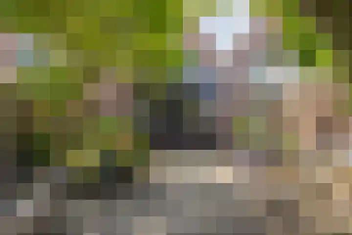 Klaverweide 5 Oss thumbnail 16