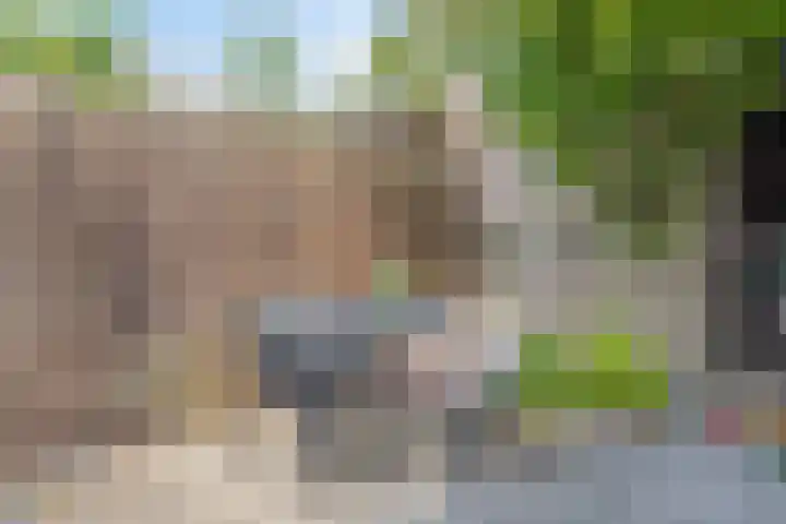Klaverweide 5 Oss thumbnail 17