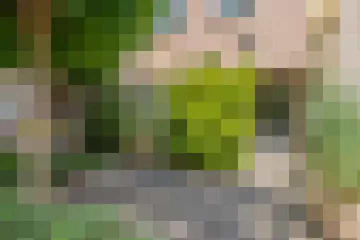 Klaverweide 5 Oss thumbnail 18