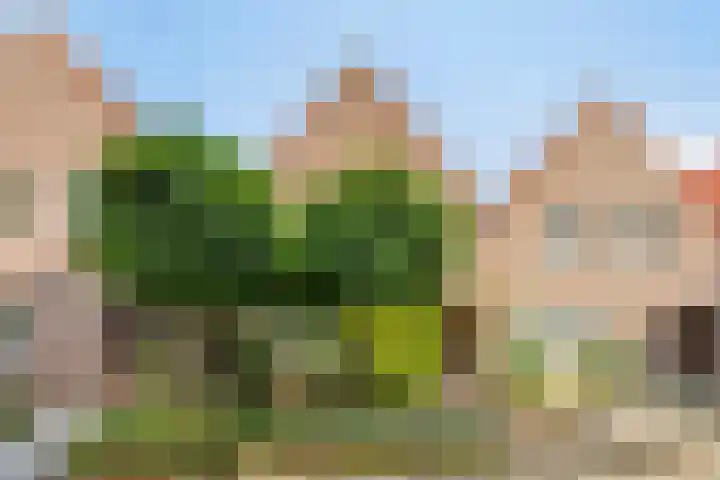 Klaverweide 5 Oss thumbnail 19