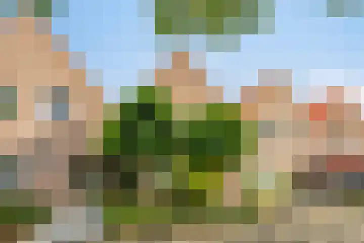 Klaverweide 5 Oss thumbnail 20