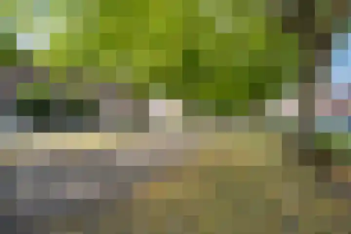 Klaverweide 5 Oss thumbnail 21