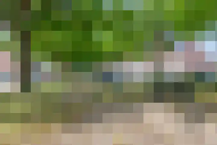 Klaverweide 5 Oss thumbnail 22