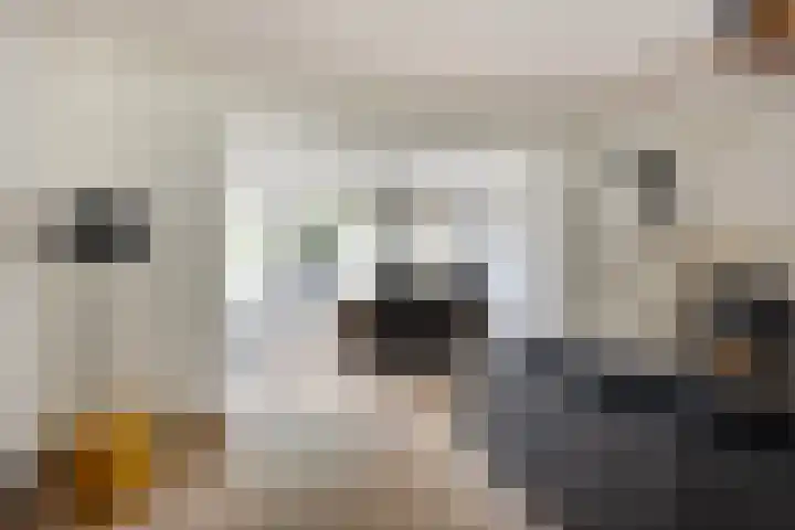Klaverweide 5 Oss thumbnail 4