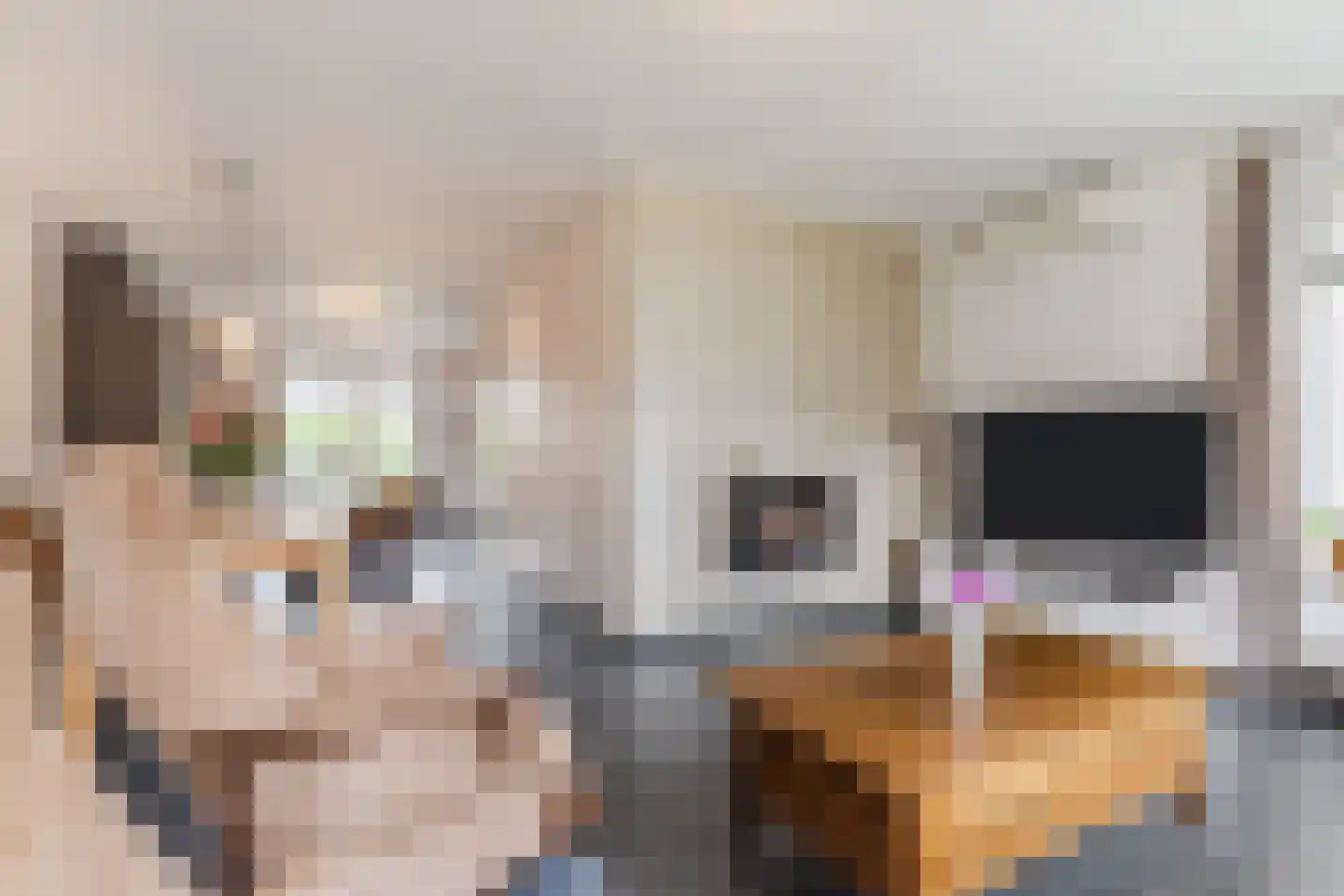 Klaverweide 51 Erp thumbnail 13