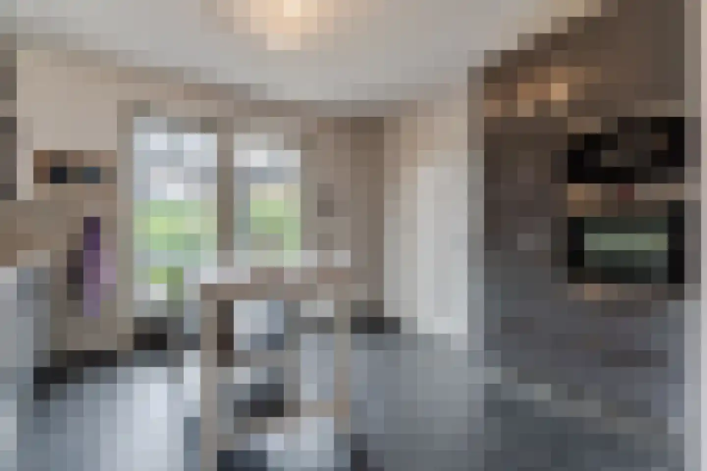 Klaverweide 51 Erp thumbnail 17