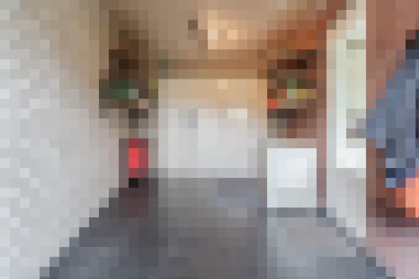 Klaverweide 51 Erp thumbnail 22