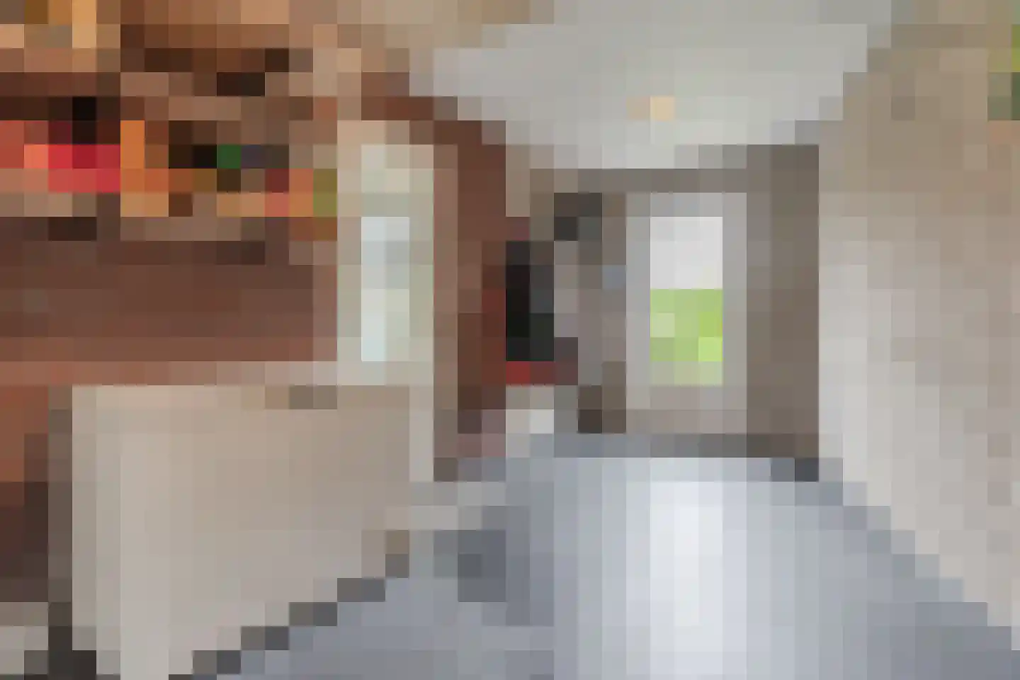 Klaverweide 51 Erp thumbnail 23