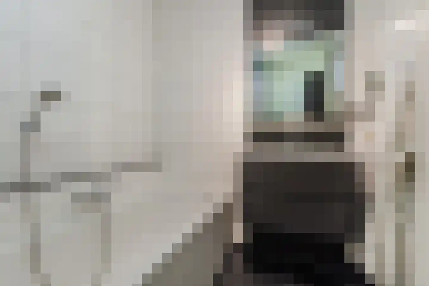 Klaverweide 51 Erp thumbnail 31