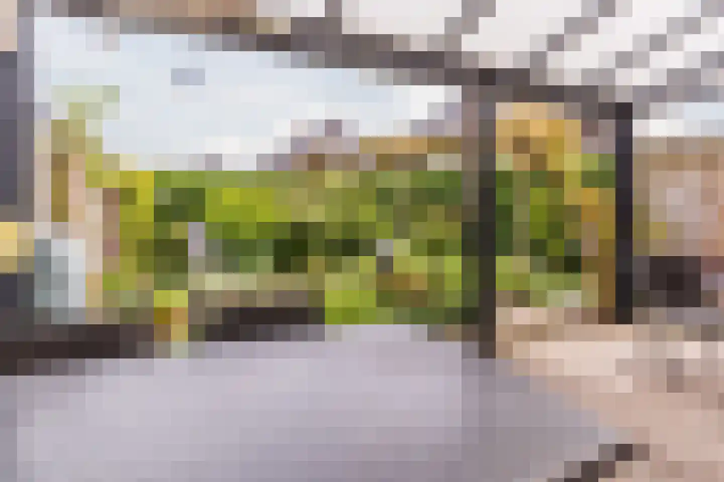 Klaverweide 51 Erp thumbnail 42