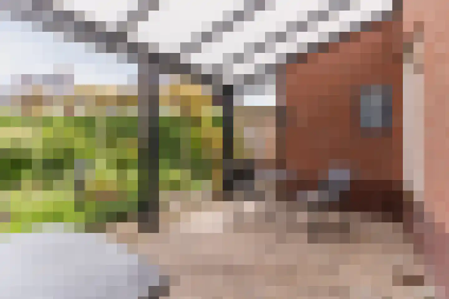 Klaverweide 51 Erp thumbnail 43
