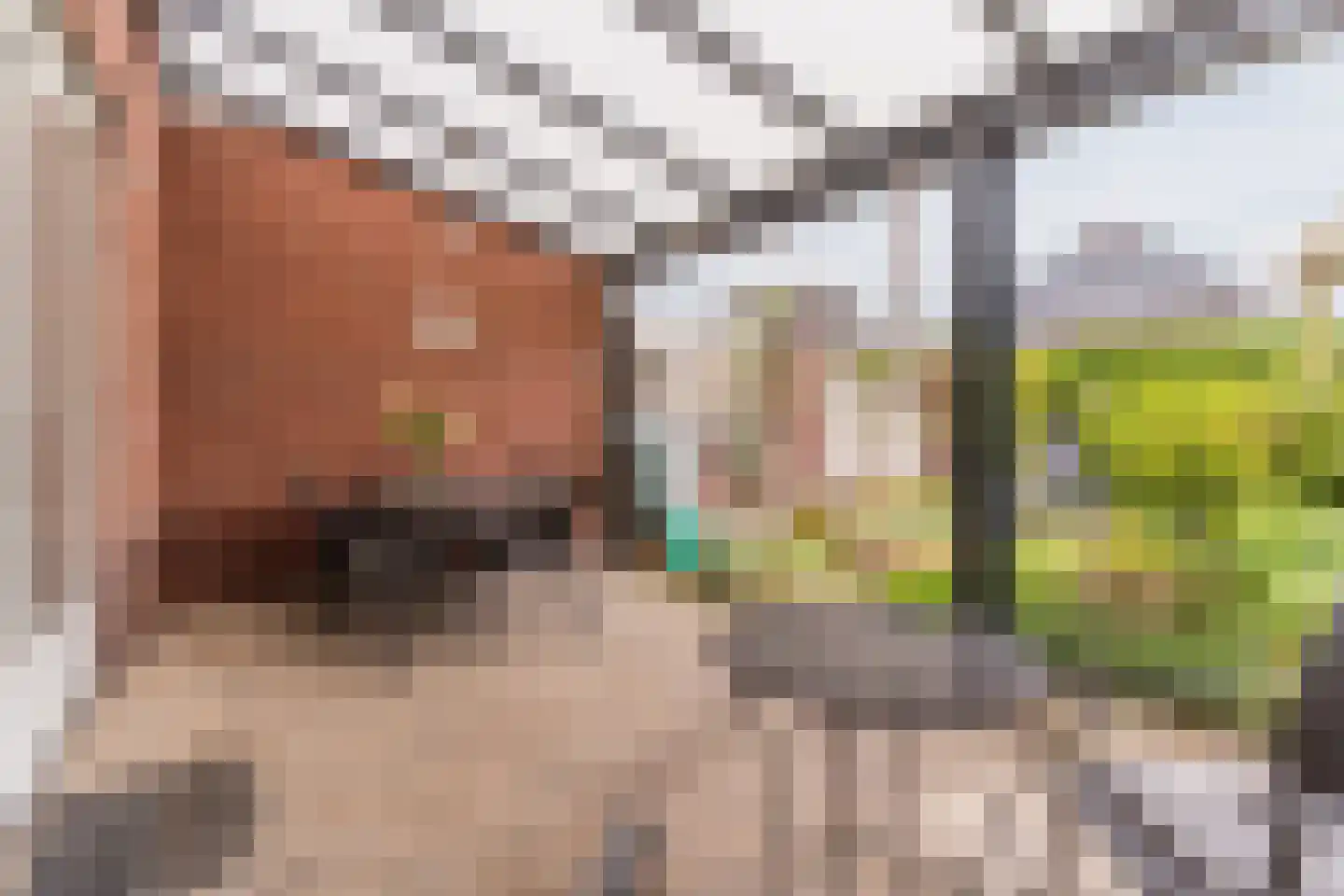 Klaverweide 51 Erp thumbnail 44
