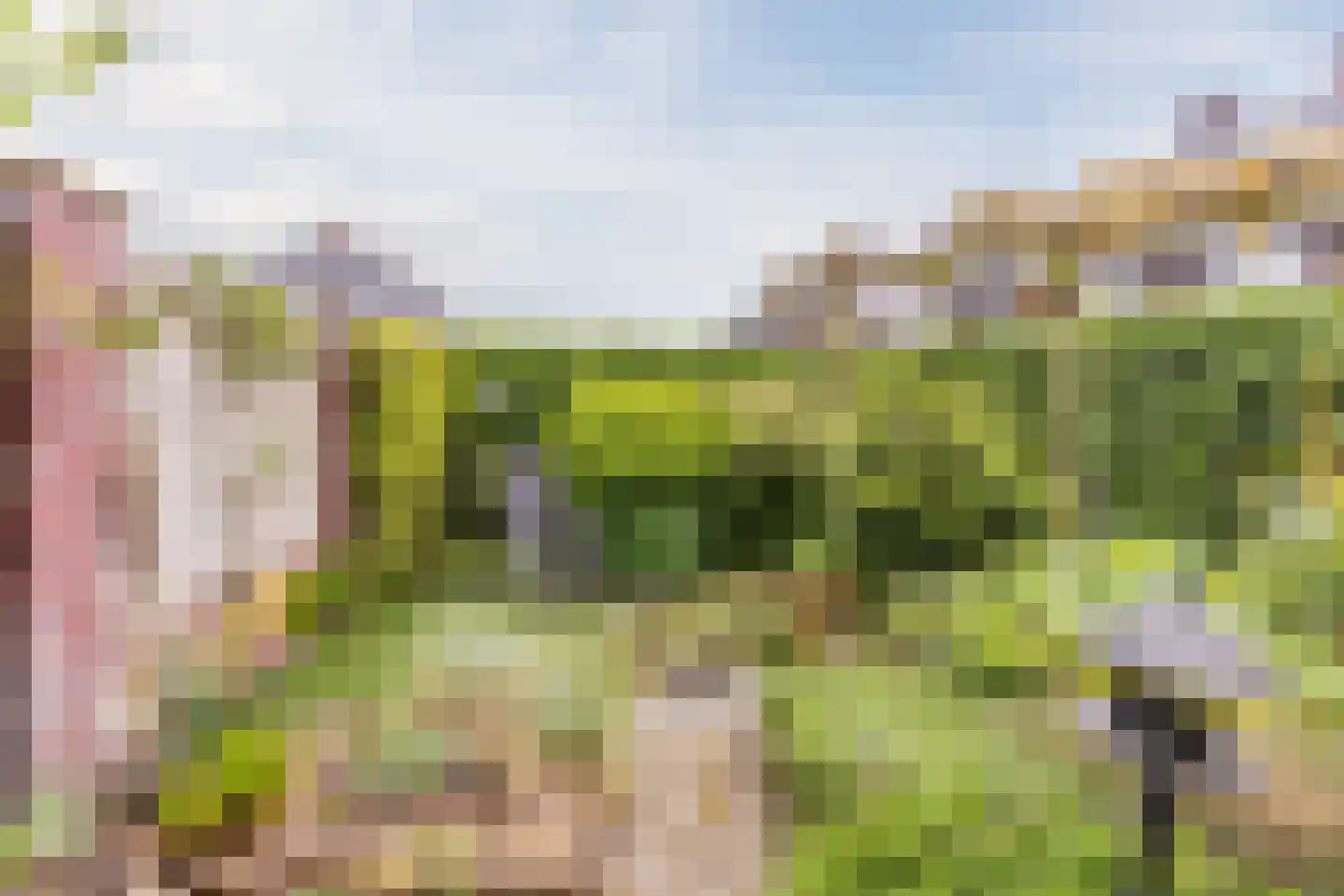 Klaverweide 51 Erp thumbnail 46