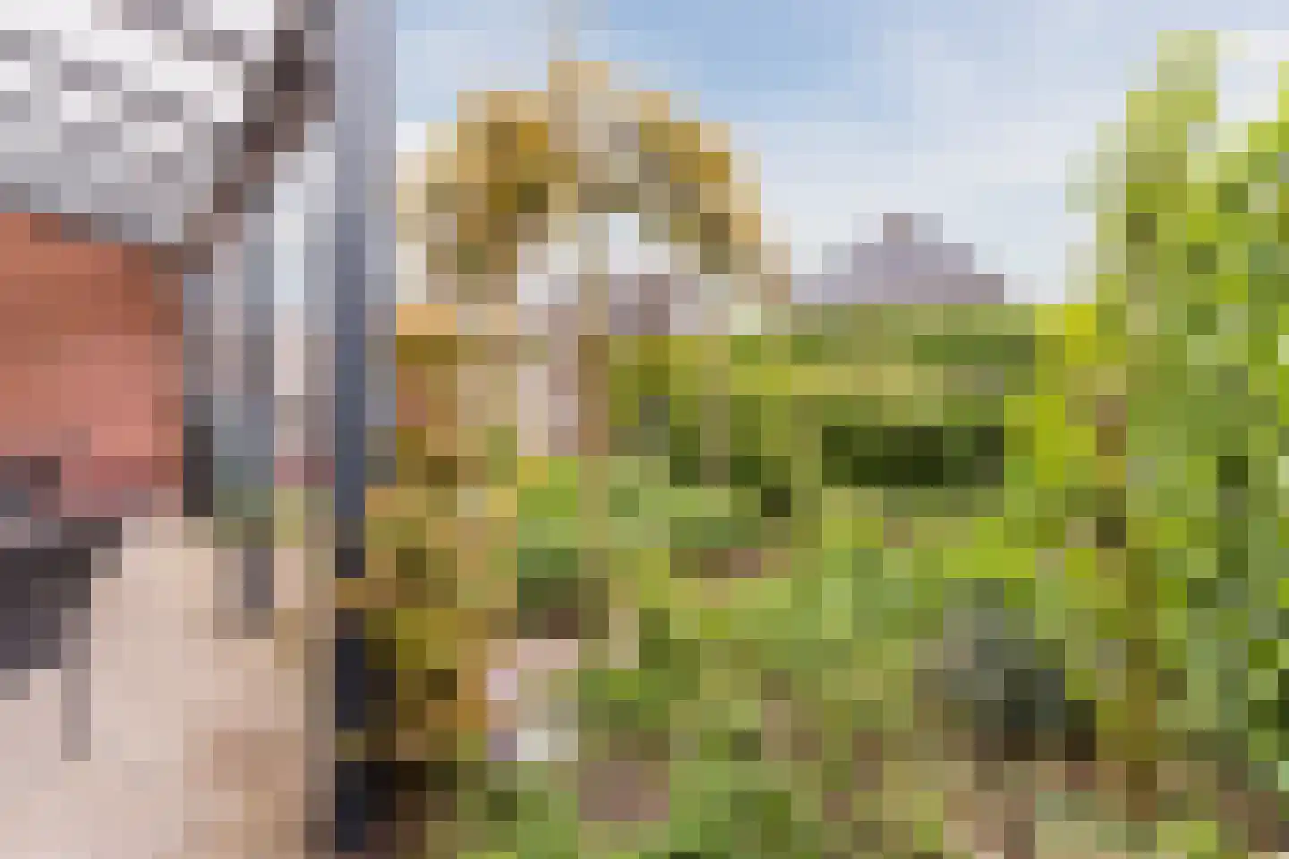 Klaverweide 51 Erp thumbnail 47