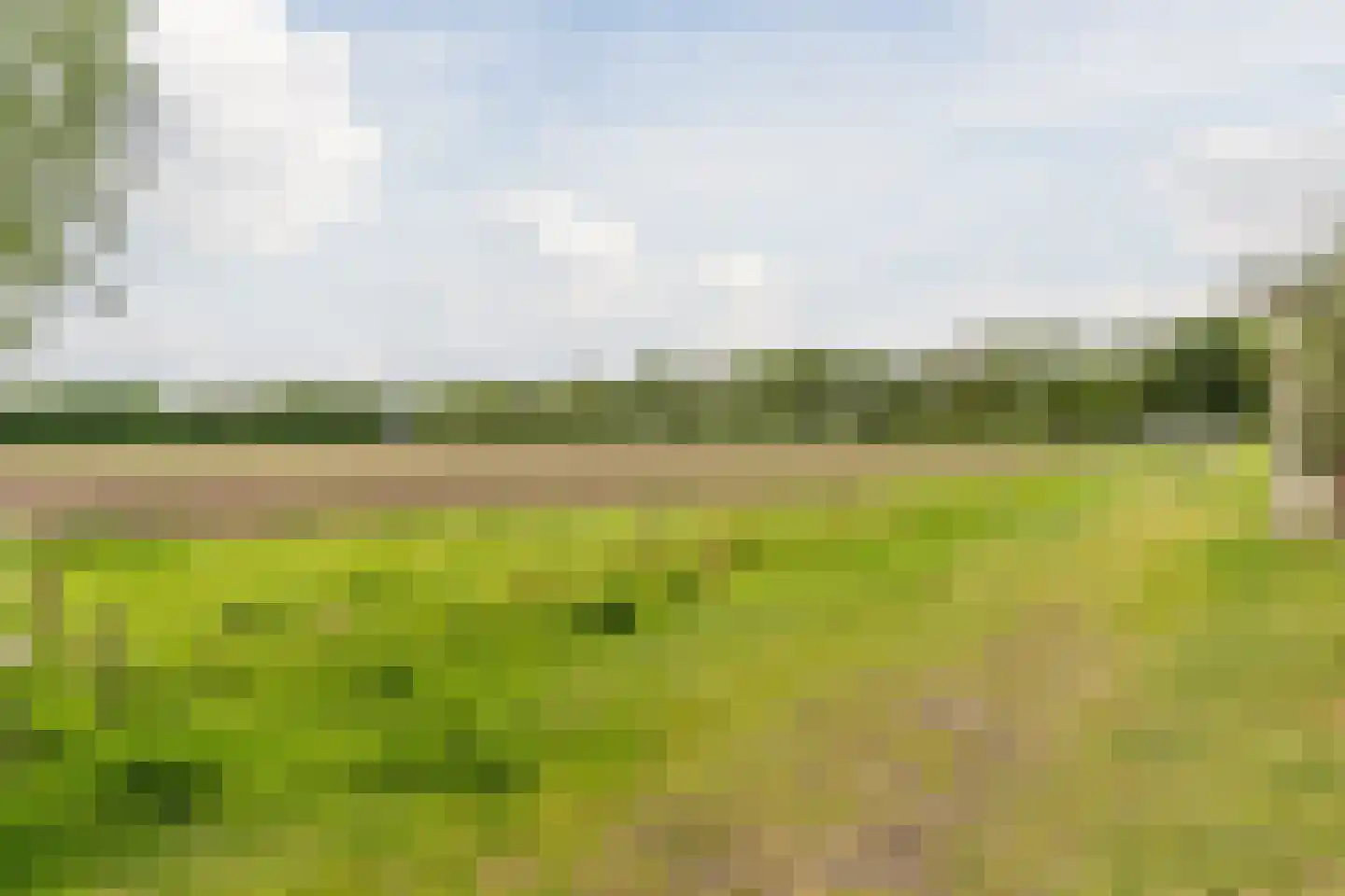 Klaverweide 51 Erp thumbnail 56