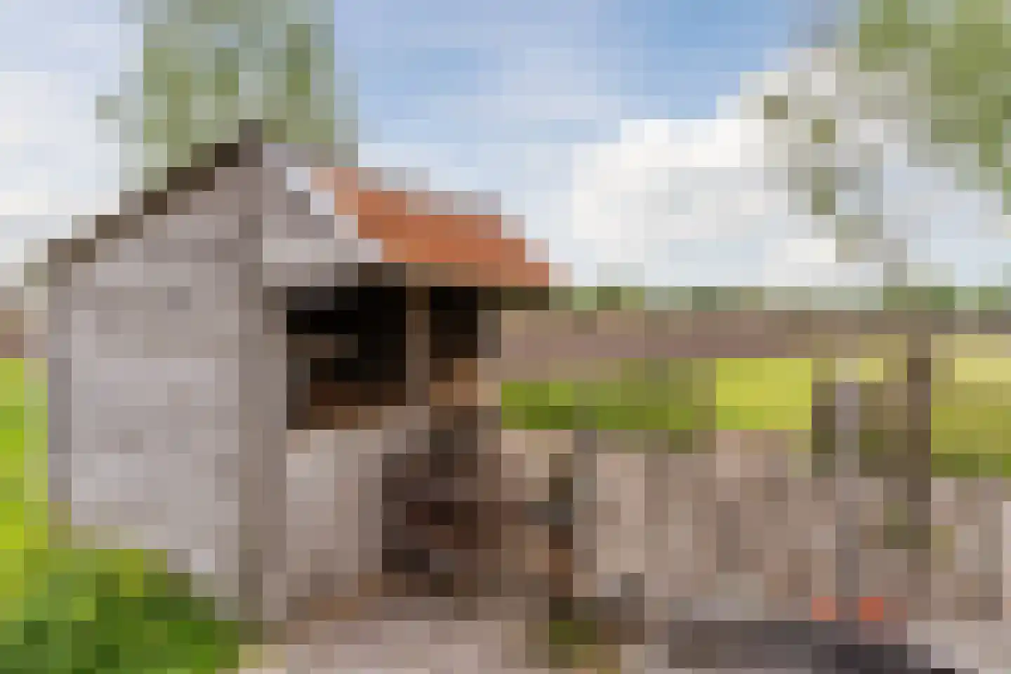 Klaverweide 51 Erp thumbnail 57