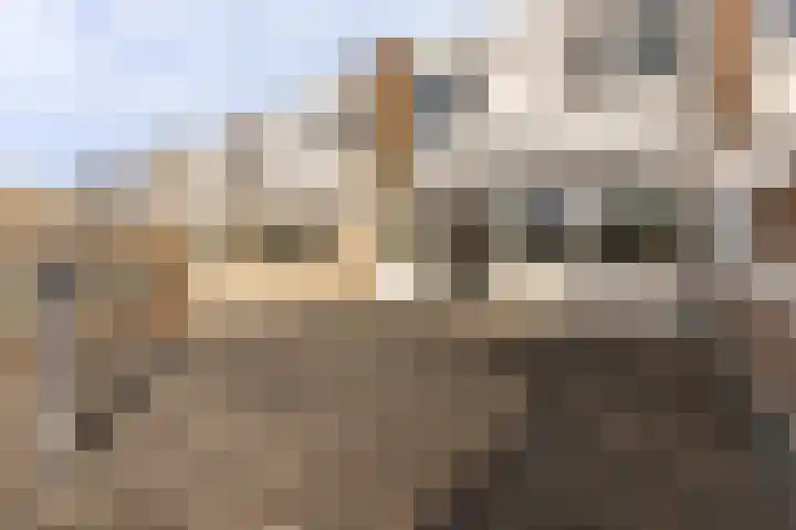 Klaverweide 62 Oostzaan thumbnail 10