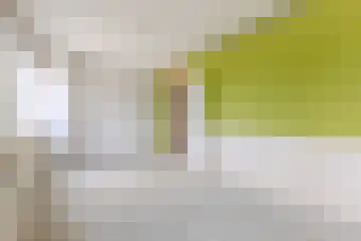 Klaverweide 62 Oostzaan thumbnail 17