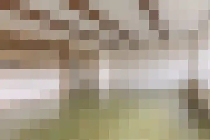 Klaverweide 62 Oostzaan thumbnail 5