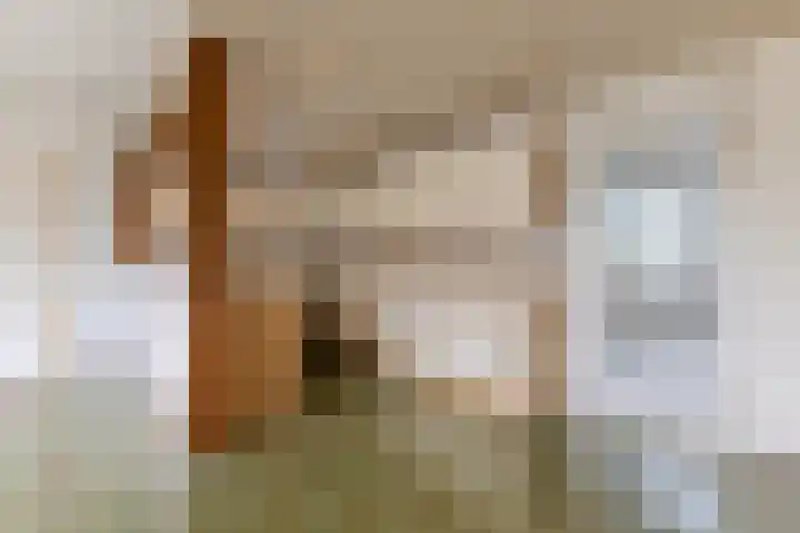 Klaverweide 62 Oostzaan thumbnail 6