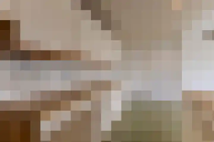 Klaverweide 62 Oostzaan thumbnail 8