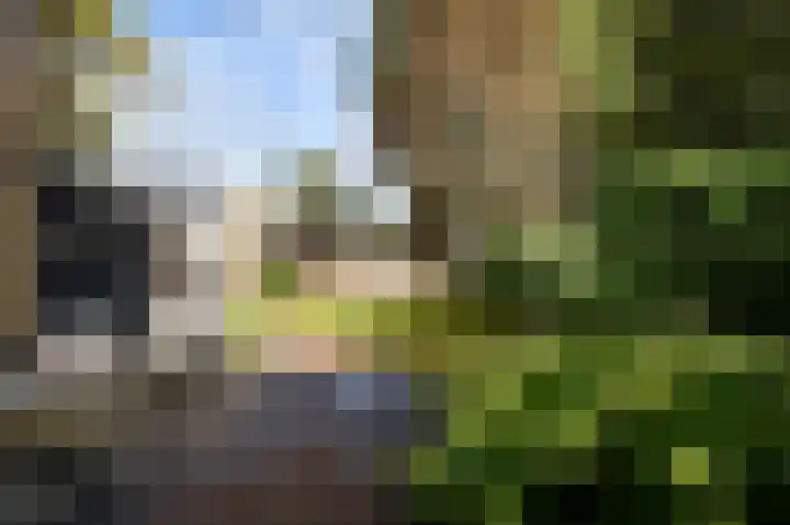 Klaverweide 7 Voorburg thumbnail 14
