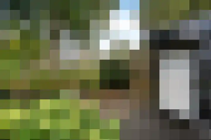 Klaverweide 7 Voorburg thumbnail 33
