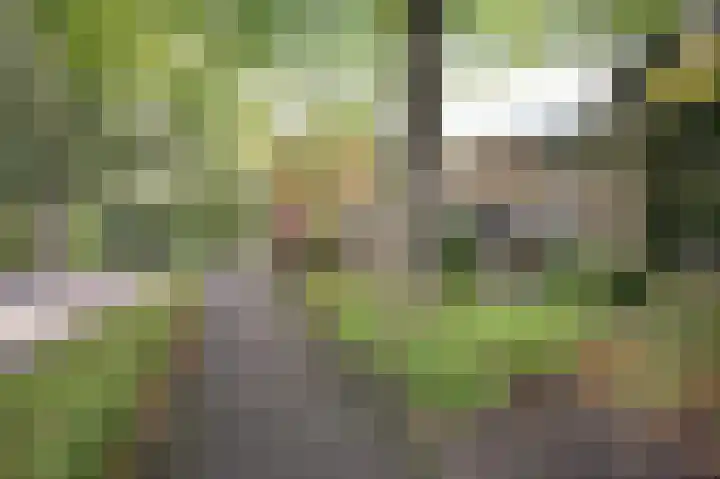 Klaverweide 7 Voorburg thumbnail 35