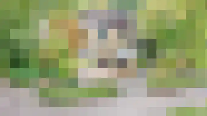 Klaverweide 7 Voorburg thumbnail 36