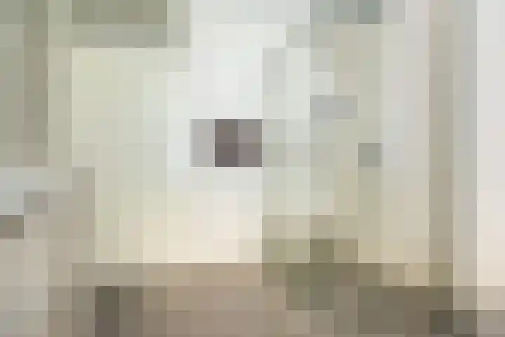Klaverweide 8 Ulft thumbnail 22