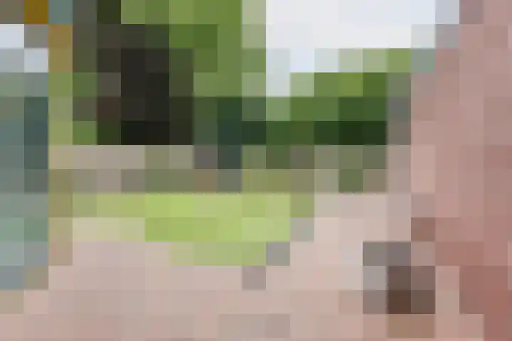 Klaverweide 8 Ulft thumbnail 37