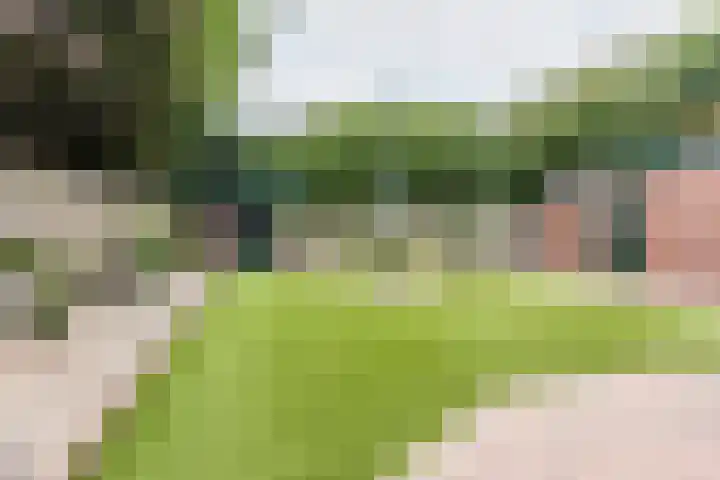 Klaverweide 8 Ulft thumbnail 4