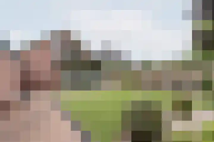 Klaverweide 8 Ulft thumbnail 41