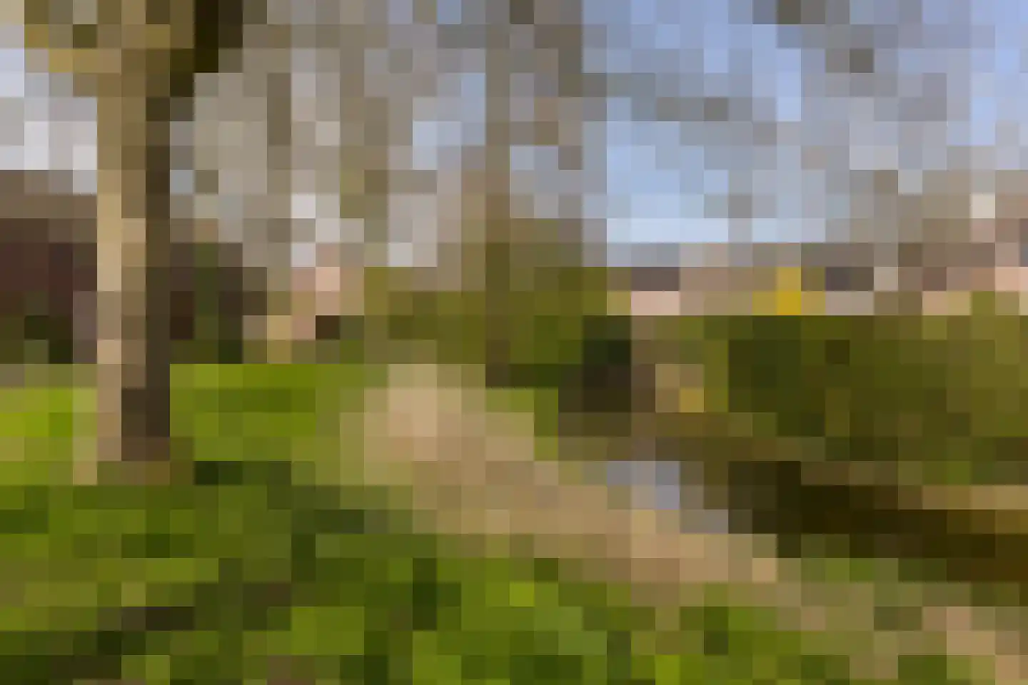 Klaverwoud 12 Zwaag thumbnail 28