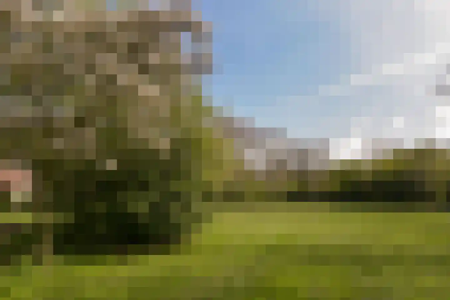 Klaverwoud 12 Zwaag thumbnail 31