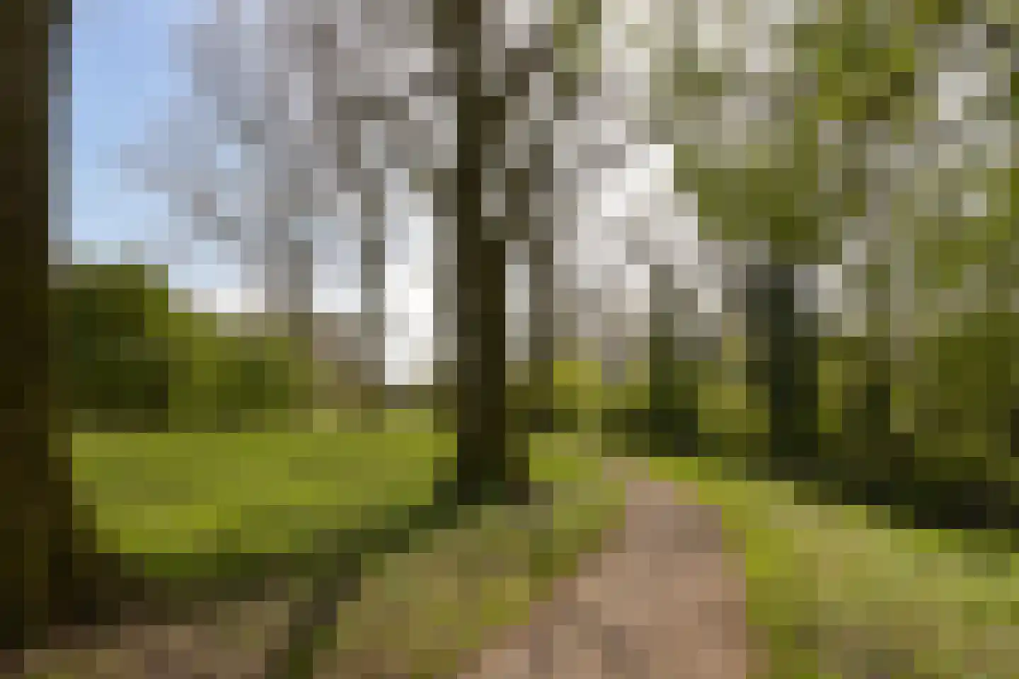 Klaverwoud 12 Zwaag thumbnail 32