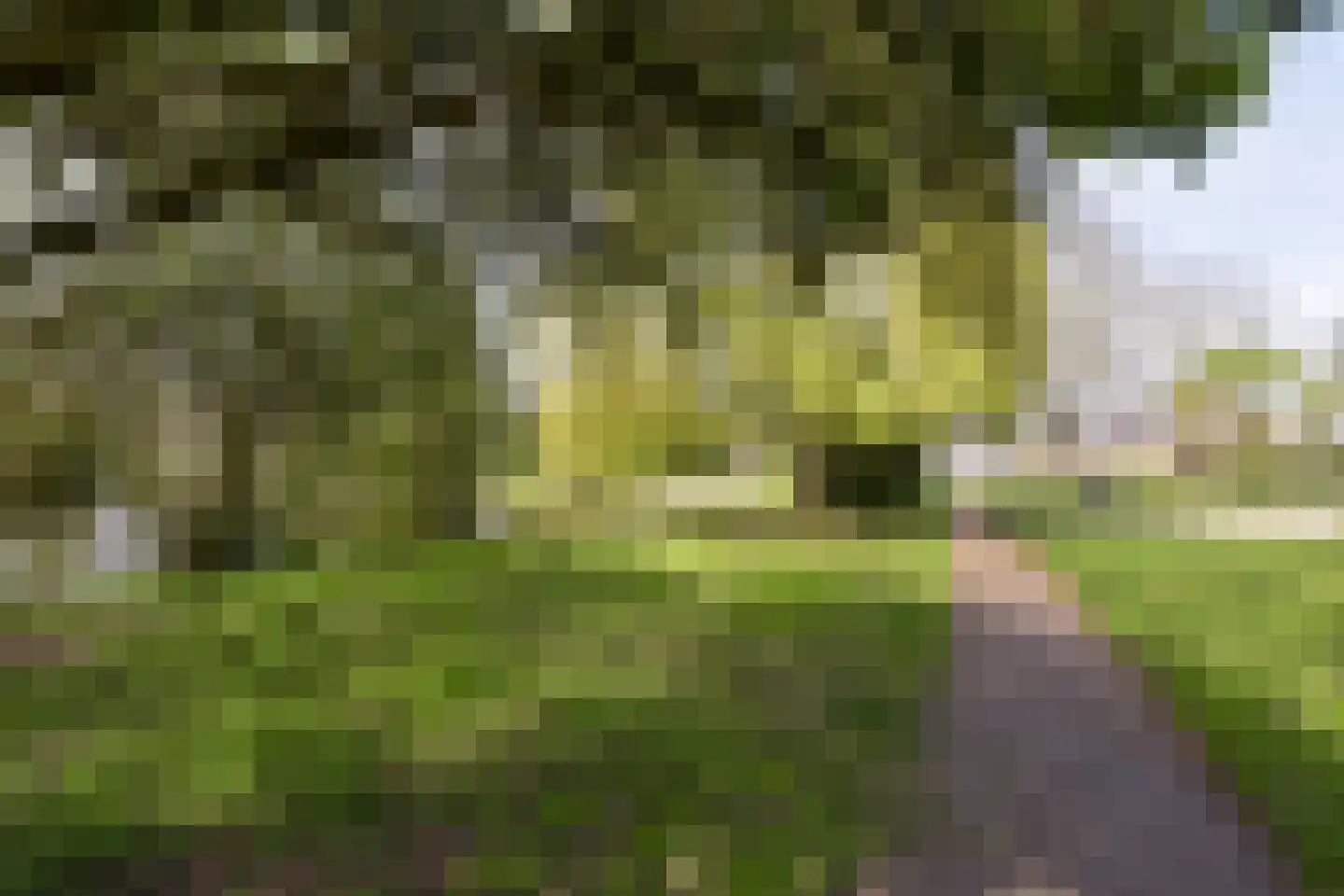 Klaverwoud 12 Zwaag thumbnail 33