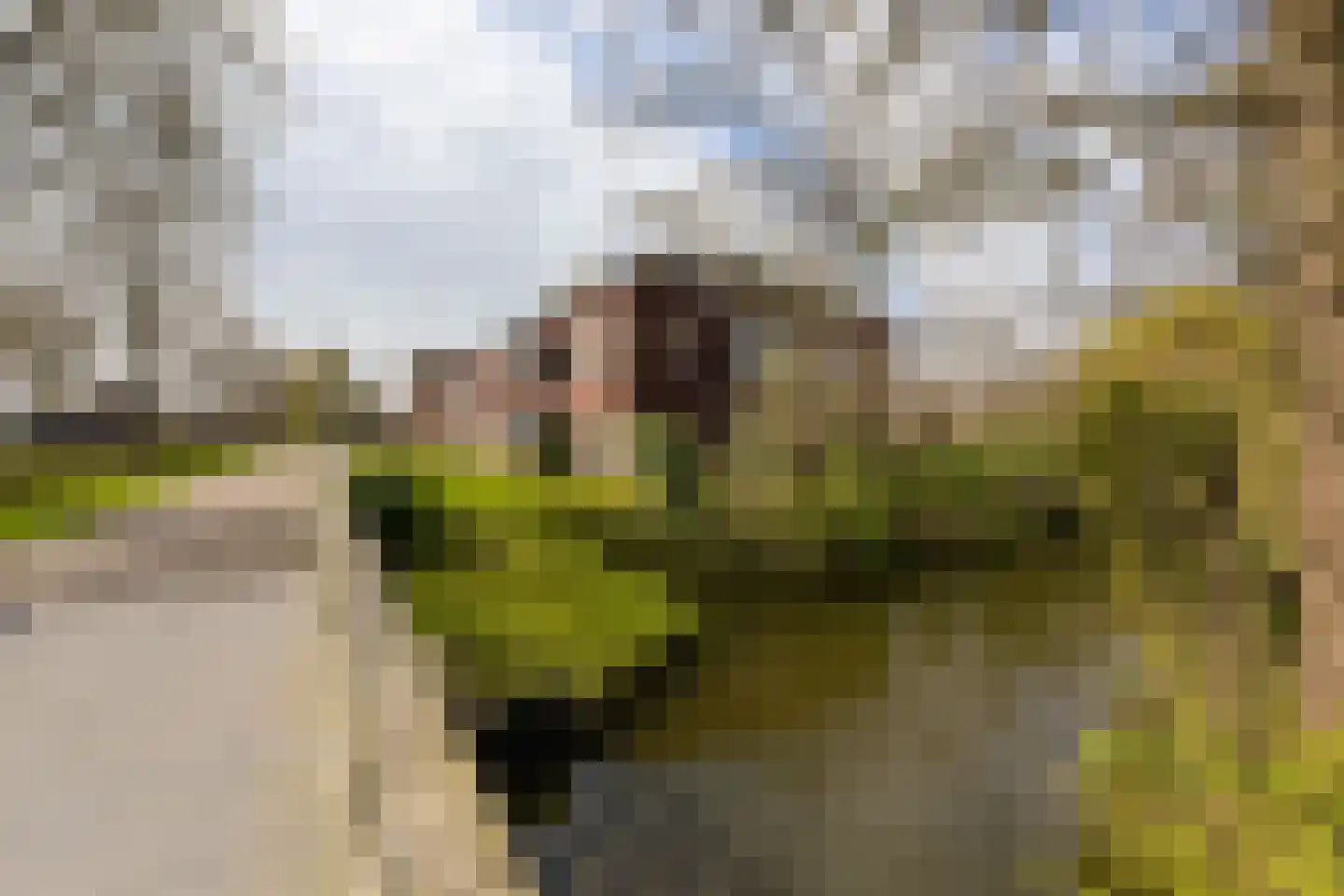 Klaverwoud 12 Zwaag thumbnail 35