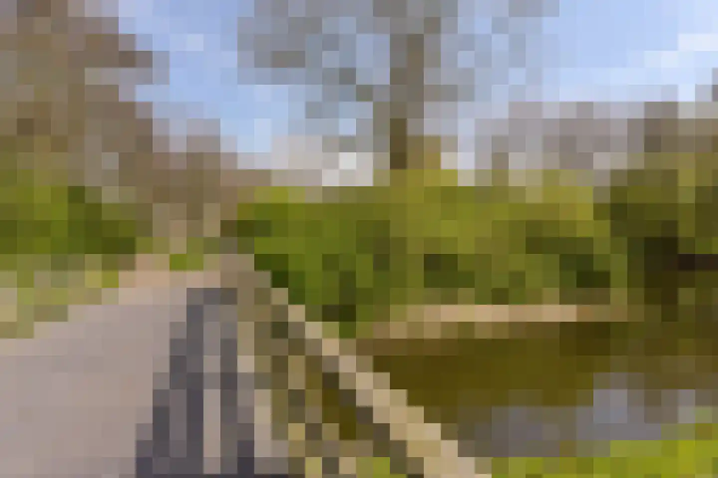 Klaverwoud 12 Zwaag thumbnail 36